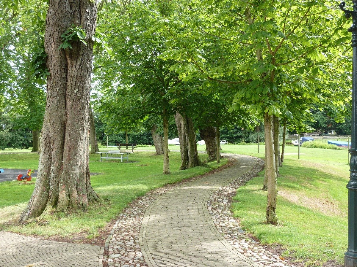 Bomenlaantje in Sloten